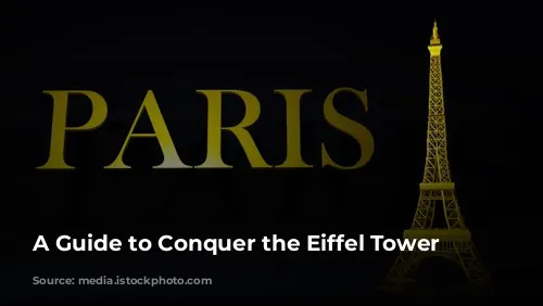 A Guide to Conquer the Eiffel Tower