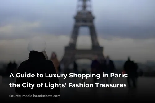 A Guide to Luxury Shopping in Paris: Unveiling the City of Lights' Fashion Treasures