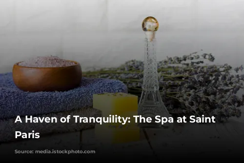 A Haven of Tranquility: The Spa at Saint James Paris