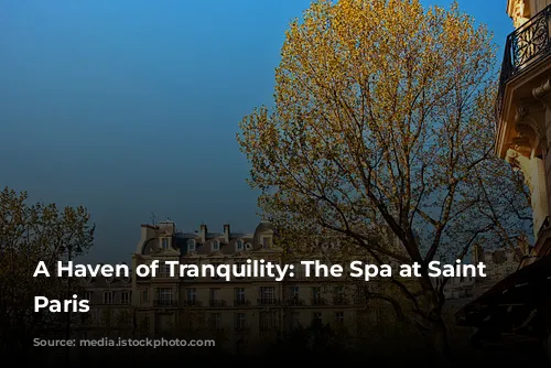 A Haven of Tranquility: The Spa at Saint James Paris