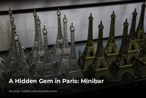 A Hidden Gem in Paris: Minibar