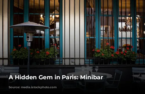 A Hidden Gem in Paris: Minibar