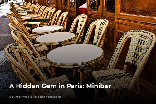 A Hidden Gem in Paris: Minibar