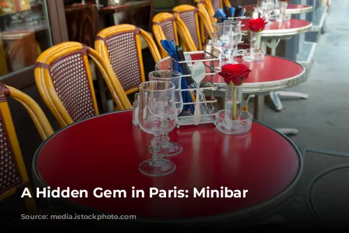 A Hidden Gem in Paris: Minibar