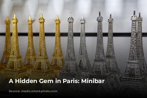 A Hidden Gem in Paris: Minibar