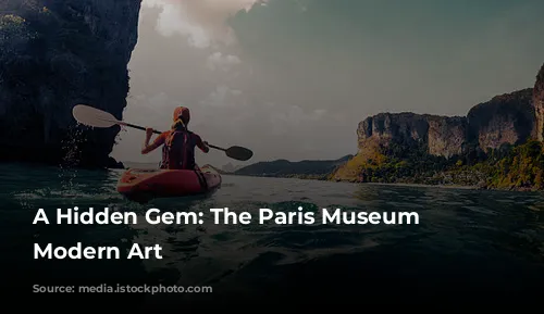 A Hidden Gem: The Paris Museum of Modern Art