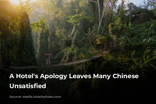 A Hotel's Apology Leaves Many Chinese Netizens Unsatisfied