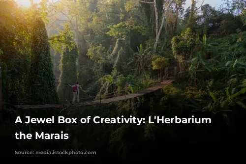 A Jewel Box of Creativity: L'Herbarium in the Marais