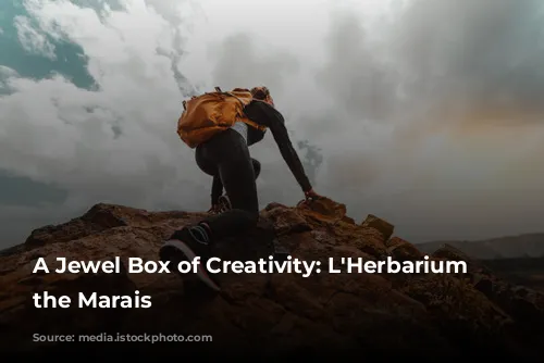 A Jewel Box of Creativity: L'Herbarium in the Marais