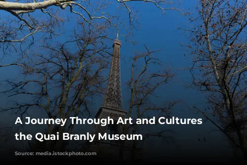 A Journey Through Art and Cultures at the Quai Branly Museum