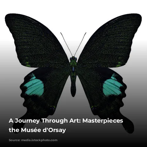 A Journey Through Art: Masterpieces of the Musée d'Orsay