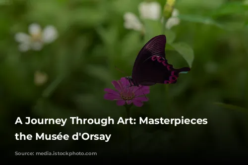 A Journey Through Art: Masterpieces of the Musée d'Orsay