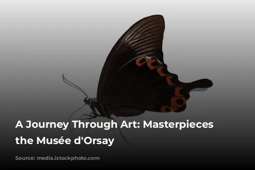 A Journey Through Art: Masterpieces of the Musée d'Orsay