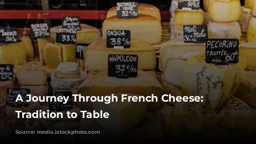 A Journey Through French Cheese: From Tradition to Table