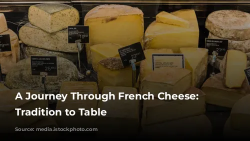 A Journey Through French Cheese: From Tradition to Table