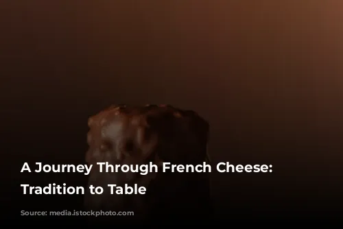 A Journey Through French Cheese: From Tradition to Table