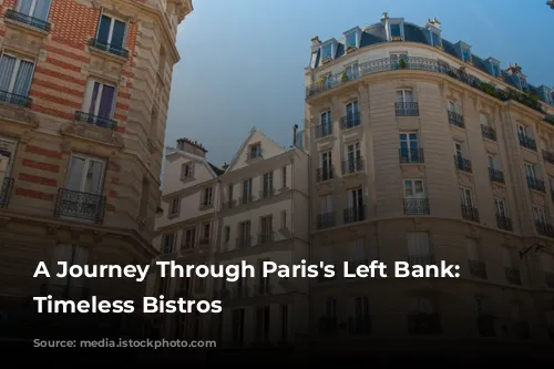 A Journey Through Paris's Left Bank: 10 Timeless Bistros