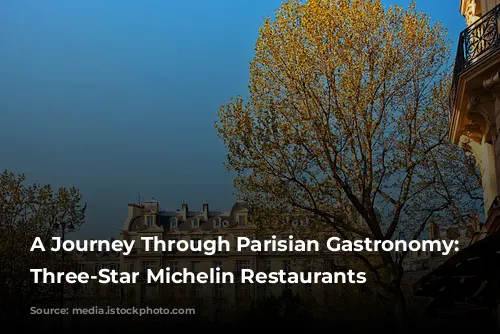 A Journey Through Parisian Gastronomy: Exploring Three-Star Michelin Restaurants