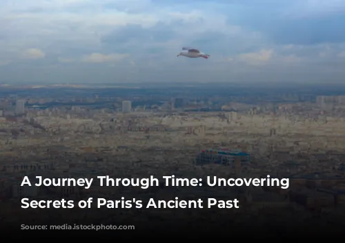 A Journey Through Time: Uncovering the Secrets of Paris's Ancient Past