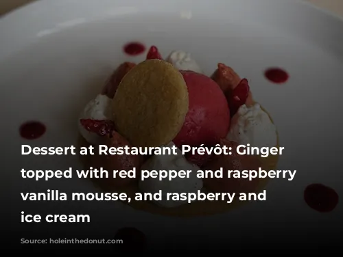 Dessert at Restaurant Prévôt: Ginger biscuits, topped with red pepper and raspberry mousse, vanilla mousse, and raspberry and violet ice cream