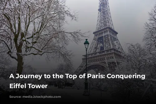 A Journey to the Top of Paris: Conquering the Eiffel Tower