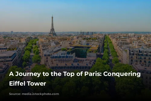 A Journey to the Top of Paris: Conquering the Eiffel Tower