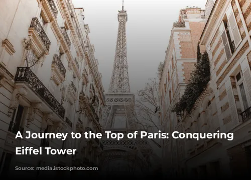 A Journey to the Top of Paris: Conquering the Eiffel Tower