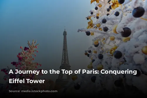 A Journey to the Top of Paris: Conquering the Eiffel Tower