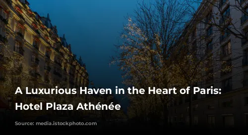 A Luxurious Haven in the Heart of Paris: The Hotel Plaza Athénée