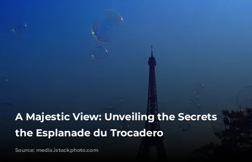 A Majestic View: Unveiling the Secrets of the Esplanade du Trocadero