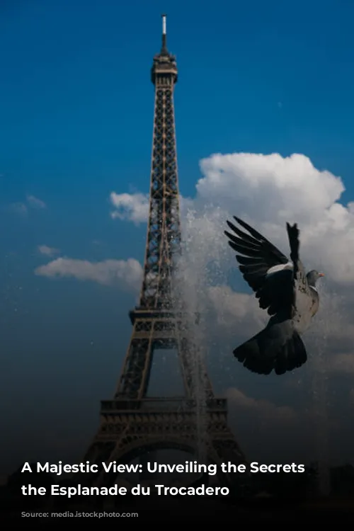 A Majestic View: Unveiling the Secrets of the Esplanade du Trocadero