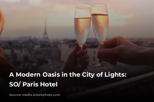 A Modern Oasis in the City of Lights: Discover SO/ Paris Hotel