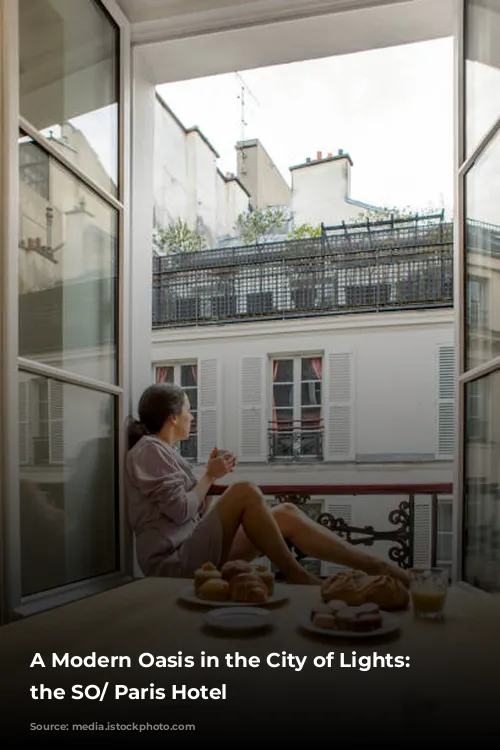 A Modern Oasis in the City of Lights: Unveiling the SO/ Paris Hotel