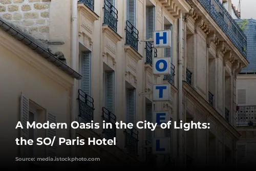 A Modern Oasis in the City of Lights: Unveiling the SO/ Paris Hotel