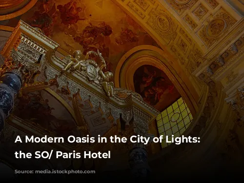 A Modern Oasis in the City of Lights: Unveiling the SO/ Paris Hotel