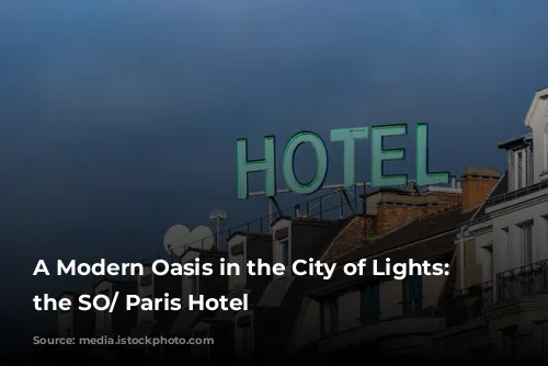 A Modern Oasis in the City of Lights: Unveiling the SO/ Paris Hotel