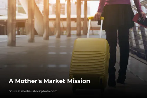 A Mother's Market Mission