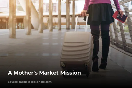 A Mother's Market Mission