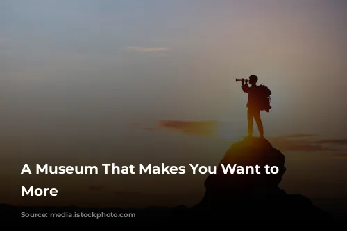 A Museum That Makes You Want to See More