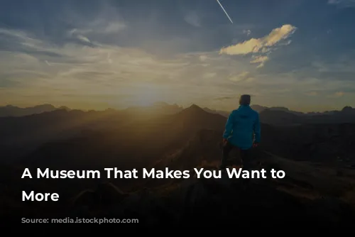 A Museum That Makes You Want to See More