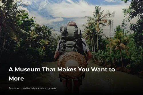 A Museum That Makes You Want to See More