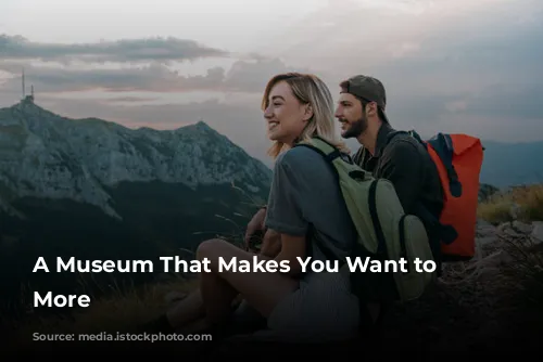 A Museum That Makes You Want to See More