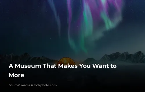 A Museum That Makes You Want to See More