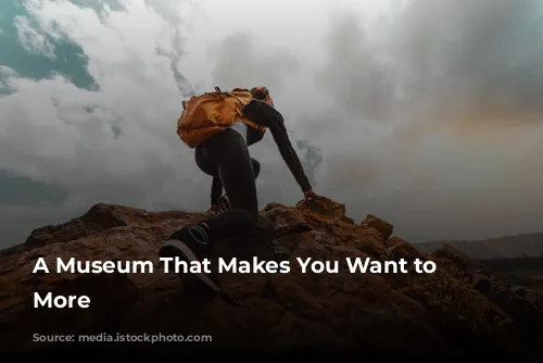 A Museum That Makes You Want to See More