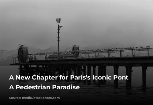 A New Chapter for Paris's Iconic Pont d'Iéna: A Pedestrian Paradise