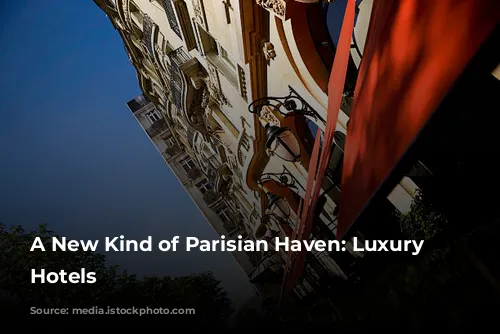 A New Kind of Parisian Haven: Luxury Apartment Hotels