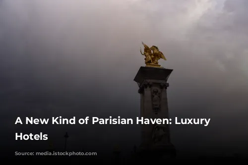 A New Kind of Parisian Haven: Luxury Apartment Hotels