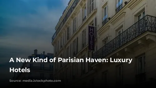 A New Kind of Parisian Haven: Luxury Apartment Hotels