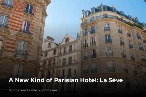 A New Kind of Parisian Hotel: La Sève