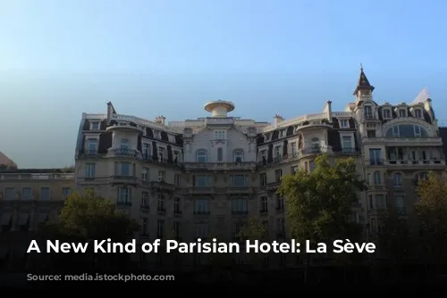 A New Kind of Parisian Hotel: La Sève